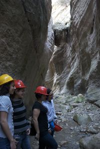 Akamas4 jumpstart activ.jpg